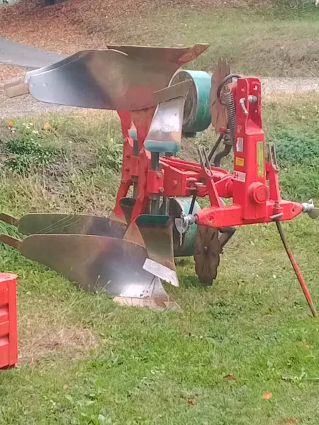 Vogel noot 950lm