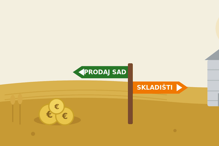 Prodati pšenicu odmah ili skladištiti — kako odlučiti (2026.)