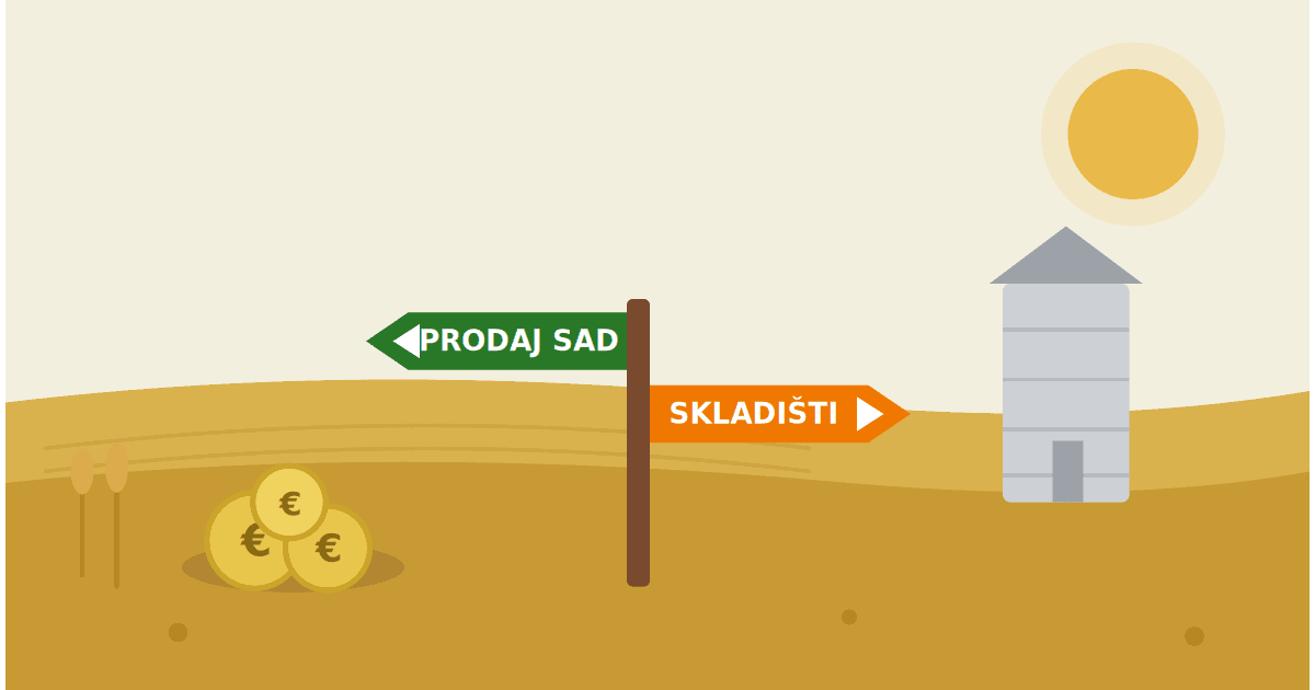 Prodati pšenicu odmah ili skladištiti — kako odlučiti (2026.)